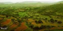 Panorama di un campo agricolo eritreo