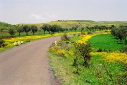 Foto di un bel ponorama della campagna eritrea