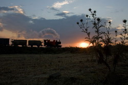 Foto del treno a vapore al tramonto Eritrea