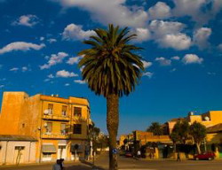 Una bella immagine di Asmara
